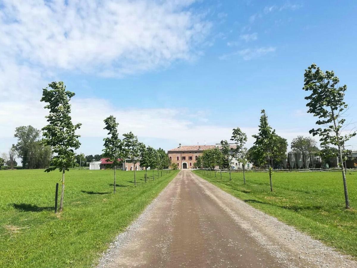 New Flowers Farm B&B Noceto Eksteriør bilde